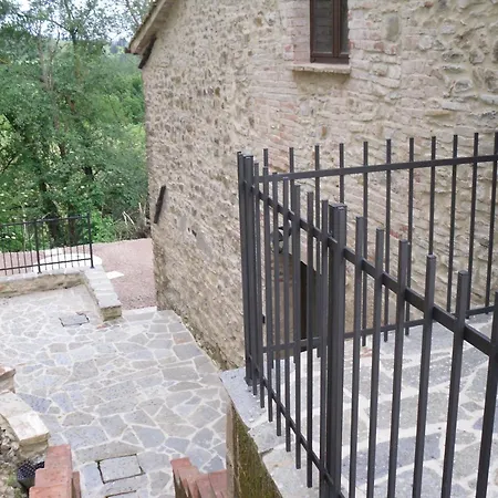 La Collina Con Gli Ulivi 度假居