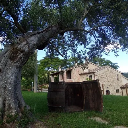 度假居 La Collina Con Gli Ulivi *