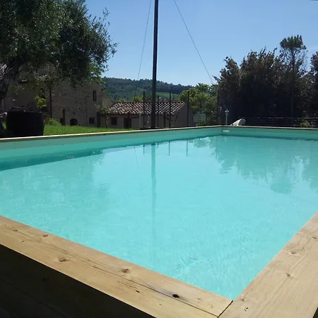 La Collina Con Gli Ulivi Casa vacanze *