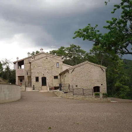 La Collina Con Gli Ulivi Casa vacanze