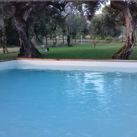 La Collina Con Gli Ulivi 度假居 *