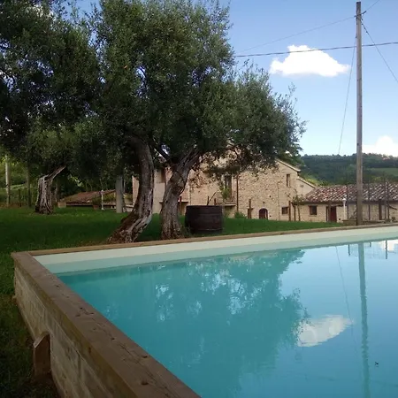 La Collina Con Gli Ulivi 度假居 *