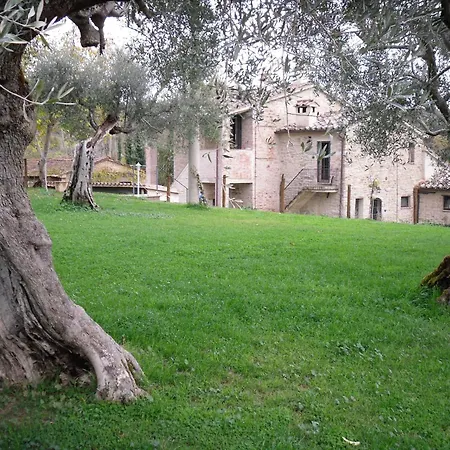 Nyaraló La Collina Con Gli Ulivi *
