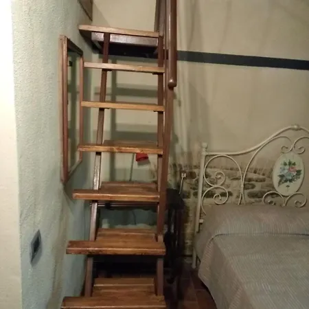 La Collina Con Gli Ulivi *