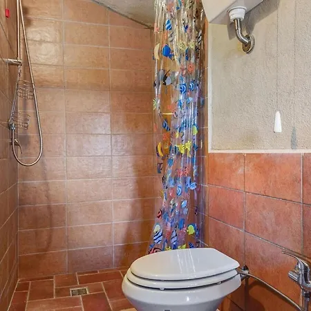 Nyaraló La Collina Con Gli Ulivi