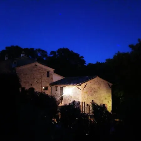 度假居 La Collina Con Gli Ulivi *