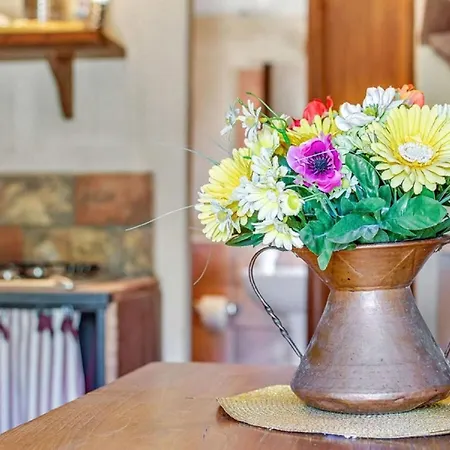 La Collina Con Gli Ulivi Casa vacanze *