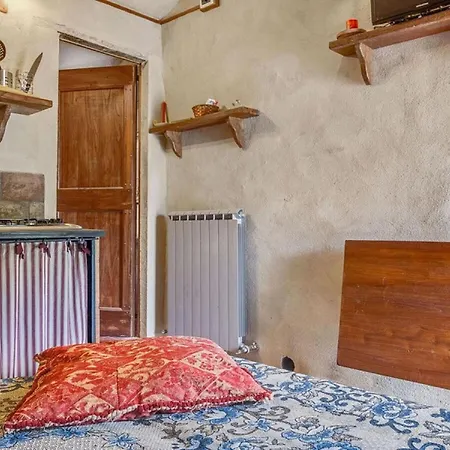 La Collina Con Gli Ulivi *