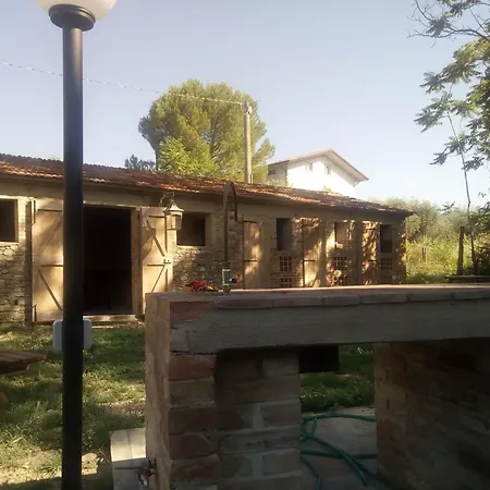 度假居 La Collina Con Gli Ulivi
