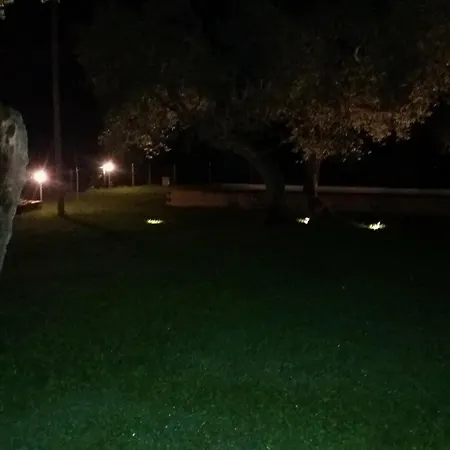 La Collina Con Gli Ulivi Perugia