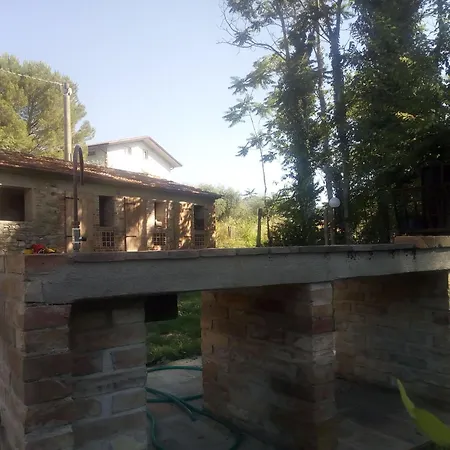 La Collina Con Gli Ulivi