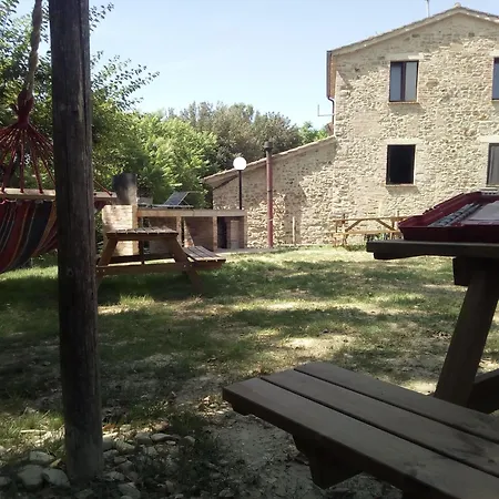 La Collina Con Gli Ulivi *
