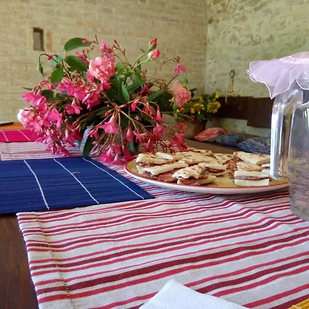 La Collina Con Gli Ulivi *