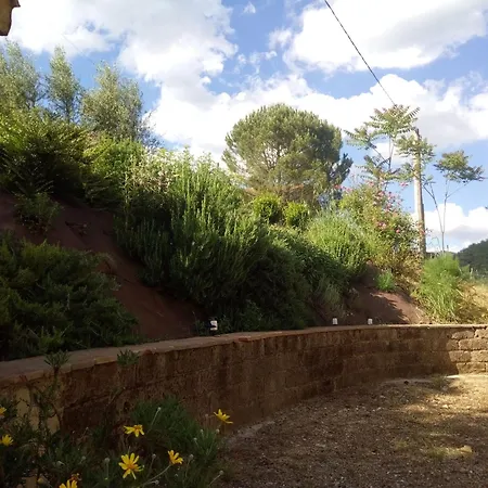 La Collina Con Gli Ulivi Semesterbostad