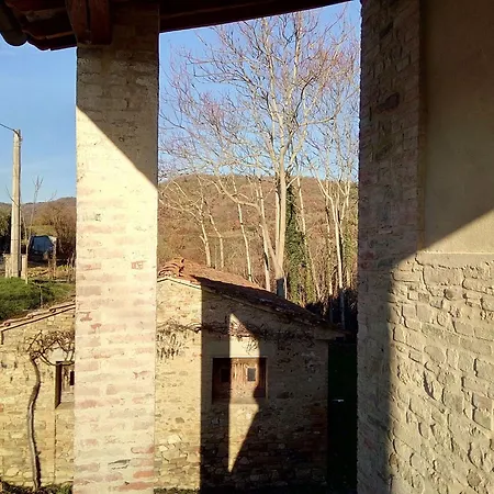 La Collina Con Gli Ulivi 度假居 *