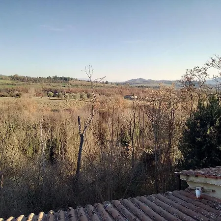La Collina Con Gli Ulivi Perugia