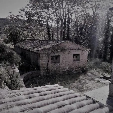 La Collina Con Gli Ulivi Semesterbostad *