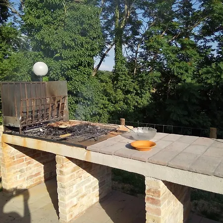 度假居 La Collina Con Gli Ulivi *