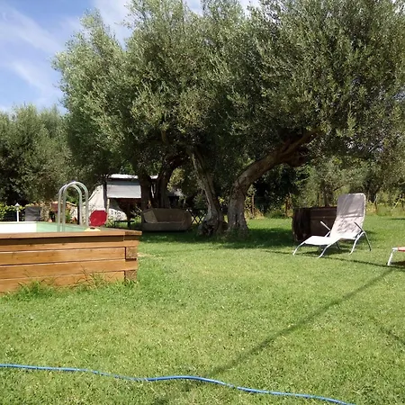 La Collina Con Gli Ulivi 度假居 佩鲁贾