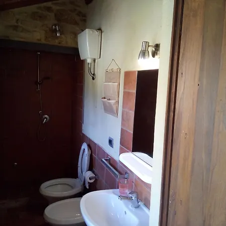 La Collina Con Gli Ulivi Semesterbostad Perugia