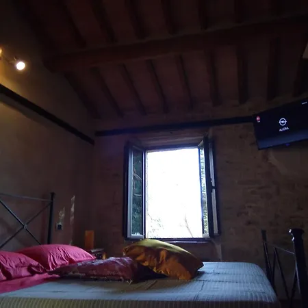 Semesterbostad La Collina Con Gli Ulivi *