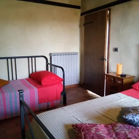 La Collina Con Gli Ulivi *