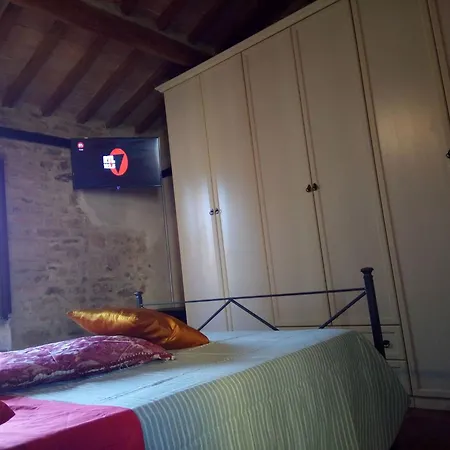La Collina Con Gli Ulivi Semesterbostad *